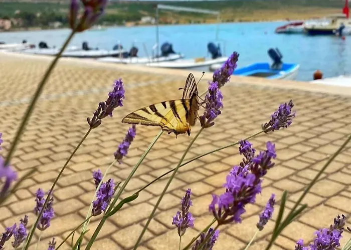 Kuca Za Odmor 